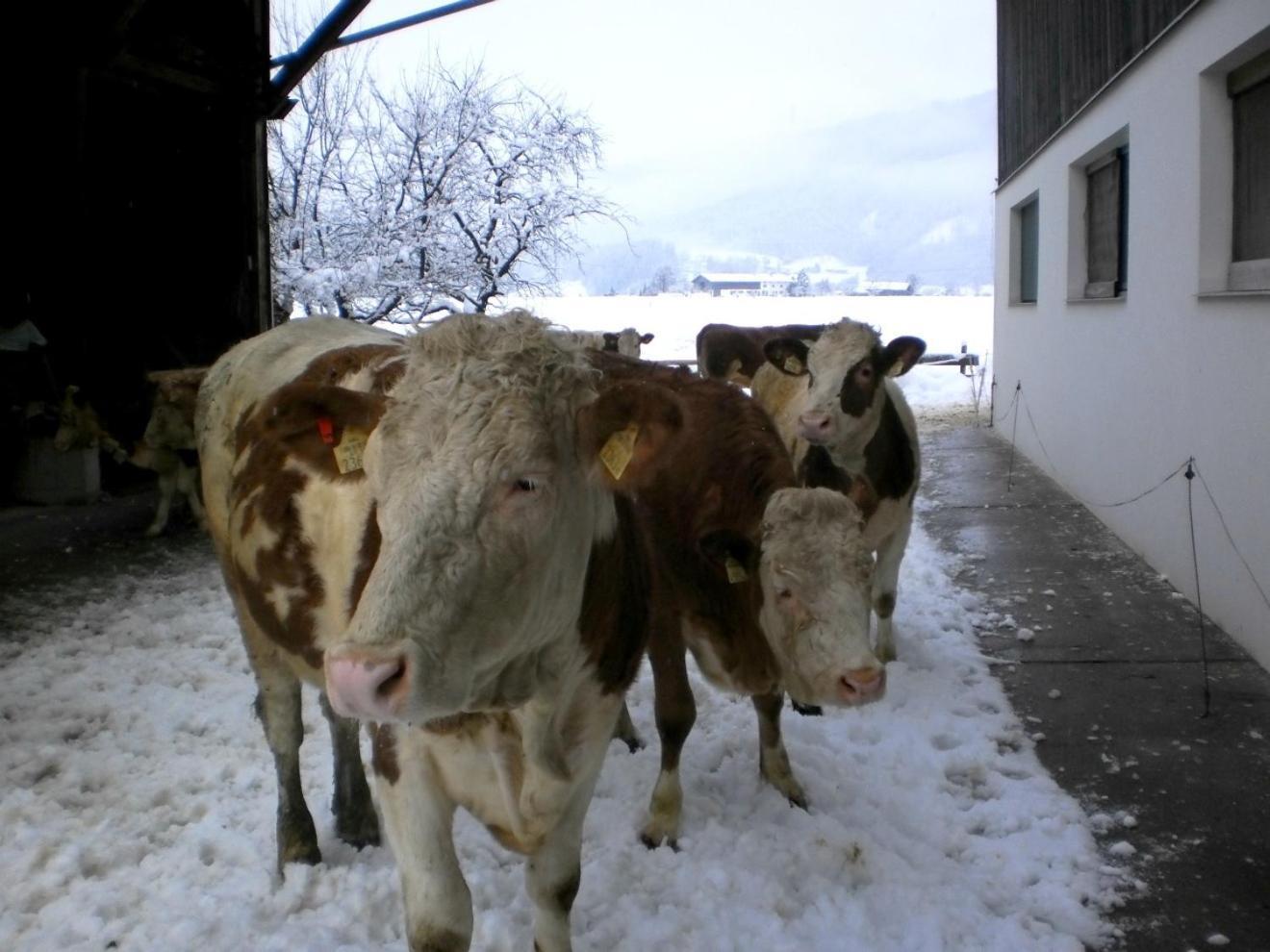 Waldschoenau キルヒビッヒル エクステリア 写真